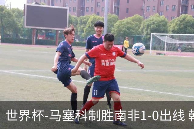 世界杯-马塞科制胜南非1-0出线 韩国积3分获小组第三待定